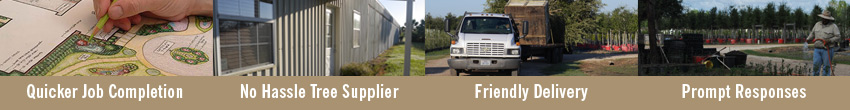 winbanner